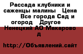 Рассада клубники и саженцы малины › Цена ­ 10 - Все города Сад и огород » Другое   . Ненецкий АО,Макарово д.